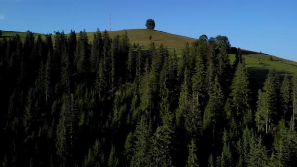 Vackert landskap med fjällbackar och skogar. — Stockvideo