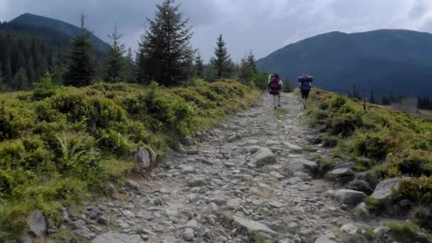 Dos excursionistas con mochilas en camino en las montañas . — Vídeos de Stock