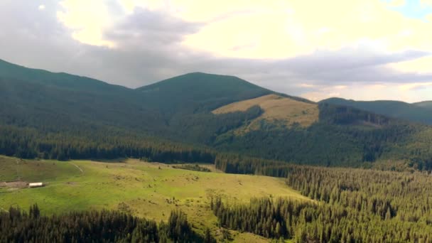 Αεροφωτογραφία του όμορφου καλοκαιρινού ορεινού τοπίου. — Αρχείο Βίντεο
