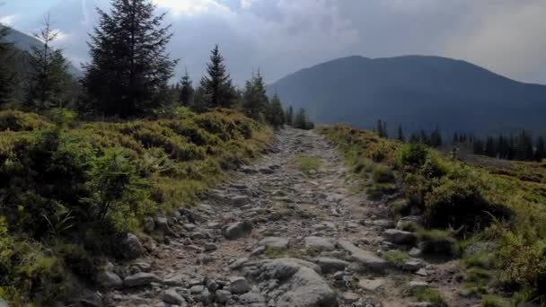 Güneşli bir günde Karpat Dağları manzarası. — Stok video