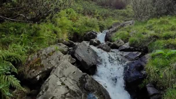 Fluxo rápido que flui entre pedras . — Vídeo de Stock