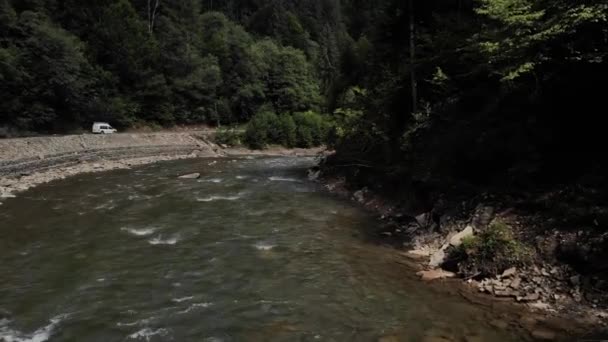 Gebirgsfluss fließt durch den grünen Wald. — Stockvideo