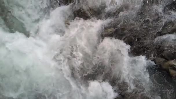 Río de agua espumosa de cerca . — Vídeo de stock