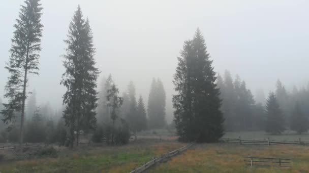 Niebla matutina en valle de montaña . — Vídeos de Stock