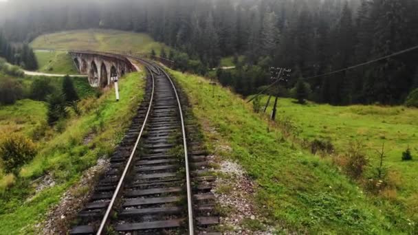 Eisenbahn im Wald in den Bergen. — Stockvideo