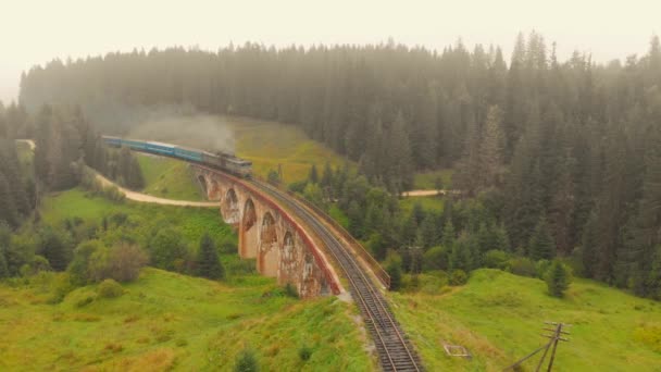 Carpathian dağlarındaki demiryolu köprüsünde tren. — Stok video