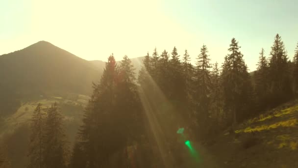 Zonlicht boven de bergen in de zomer. — Stockvideo