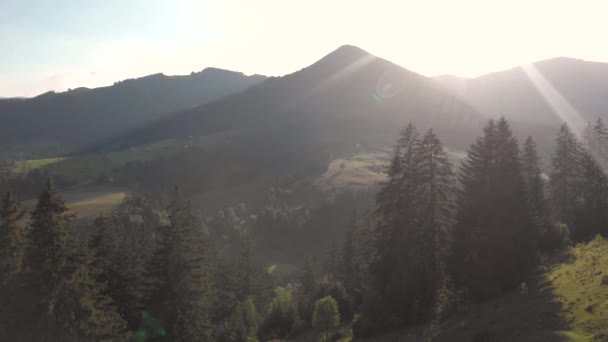 Yaz Karpat Dağları. — Stok video