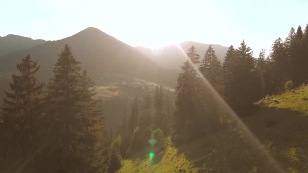 Vackert sommarlandskap i bergen. — Stockvideo