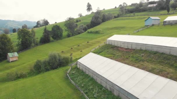 Landscape view of greenhouses on meadows in mountains. — Stock Video