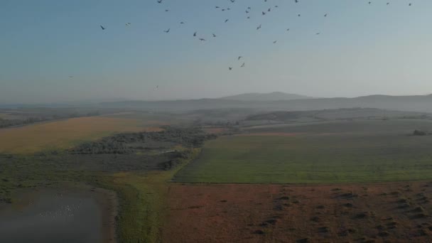 Luftaufnahme landwirtschaftlicher Felder. — Stockvideo