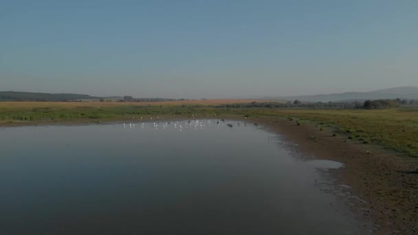 Paisagem rural com água e pasto . — Vídeo de Stock