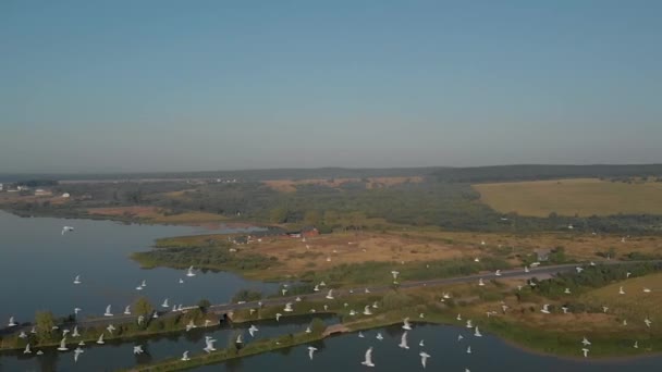 Champs, prairies, rivières et oiseaux volants .