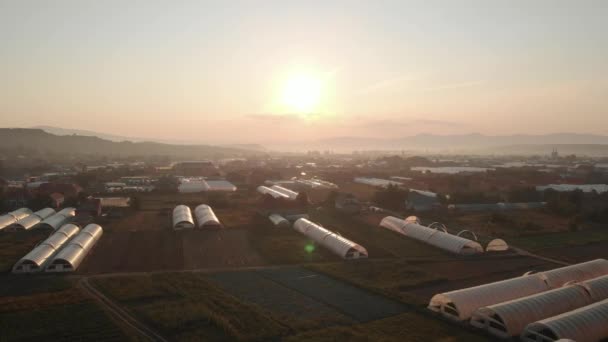 Luchtfoto van velden met kassen bij zonsondergang. — Stockvideo