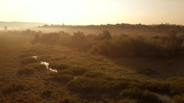 Campo con un pantano en un día soleado . — Vídeos de Stock