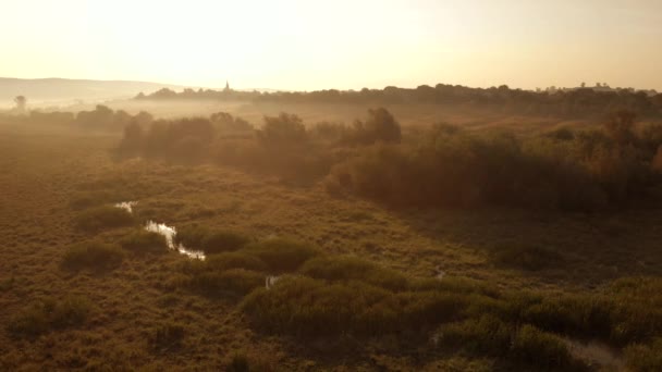 Field with a swamp on a sunny day. — Stock Video