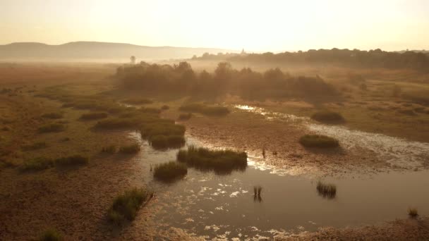 Field with swamp on a sunny day. — Stock Video