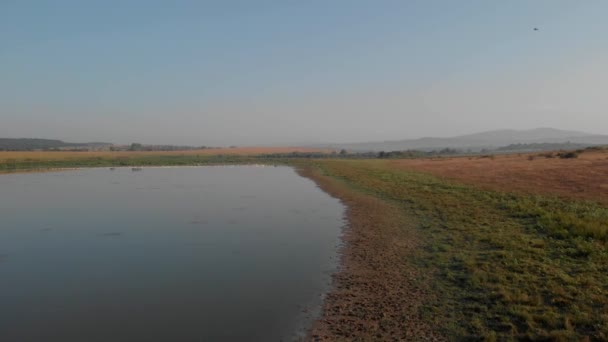 Landschaft mit Sümpfen und Feldern vor blauem Himmel. — Stockvideo