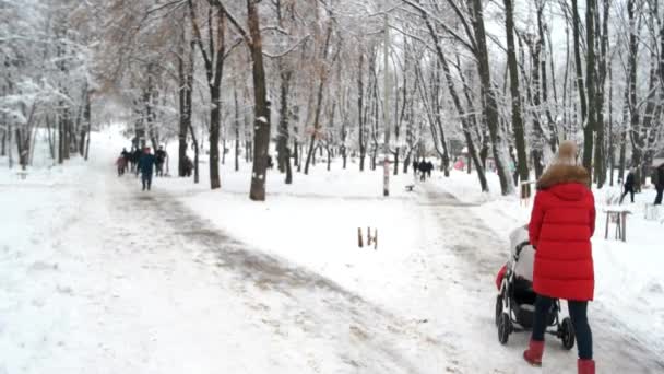 Caminhando pessoas em um vale de parque de inverno . — Vídeo de Stock