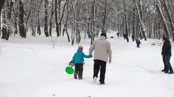 Children and adults playing on snow and sledging. — Stock Video