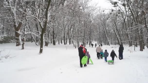 Zimní aktivity, sáňkování v zasněženém městském parku. — Stock video