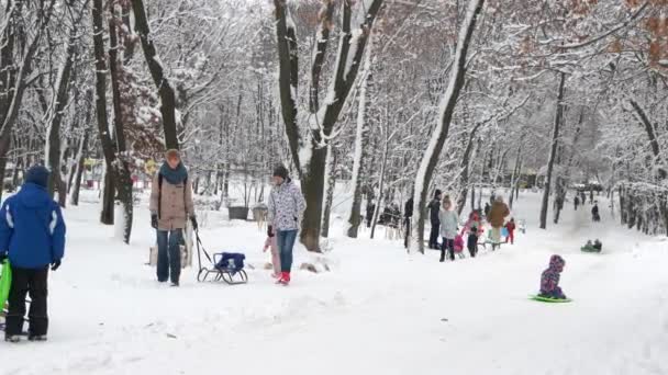 父母和孩子们在雪地的公园滑雪场上. — 图库视频影像