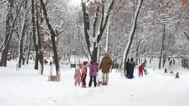 Childen ei loro genitori slittino su una collina . — Video Stock