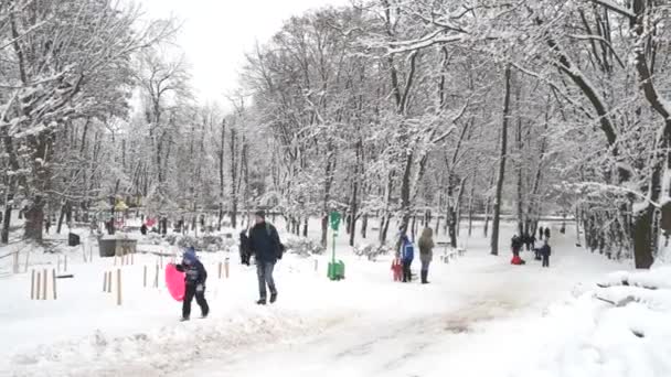 Invierno abarrotado trineo colina en un parque . — Vídeos de Stock