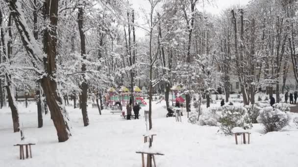Общественный парк после сильного снегопада зимой . — стоковое видео