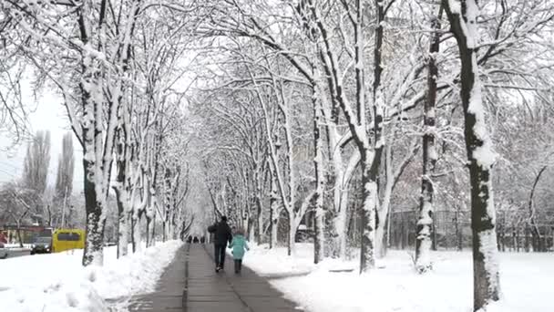 Ludzie spacerujący po chodniku zimą. — Wideo stockowe