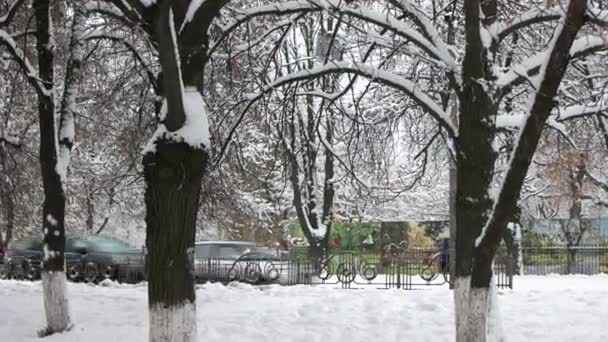 Stadtbild, fahrende Autos hinter Bäumen. — Stockvideo