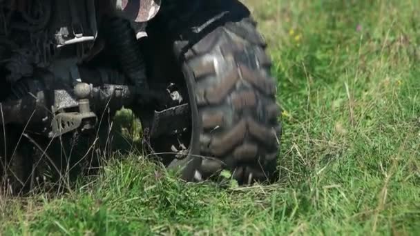 La ruota di un camion che gira siccome è bloccato in un'erba . — Video Stock