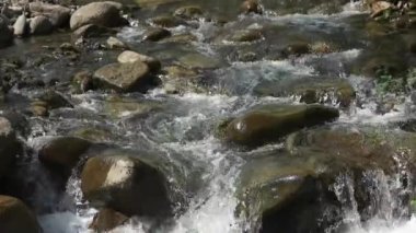 Stream of mountain river with big rocks.