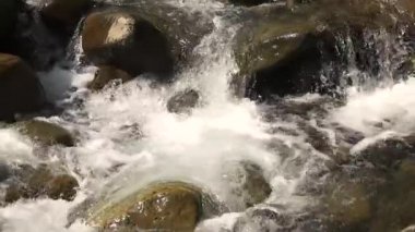 Foam in a mountain river.