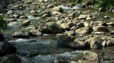 Shallow mountain river with many rocks.