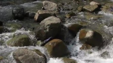 Waterfall river with big stones close up.