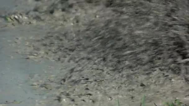 Close up spinning offroad wheel in a dirty water. — Stok video