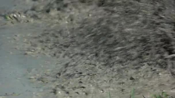 Close up spinning offroad wheel in a dirty water. — 图库视频影像