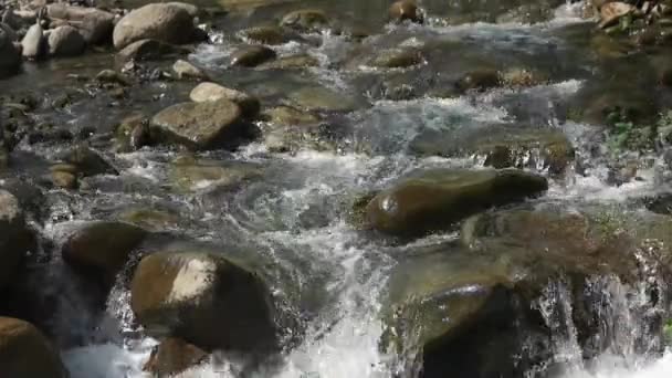 Stream of mountain river with big rocks. — 비디오