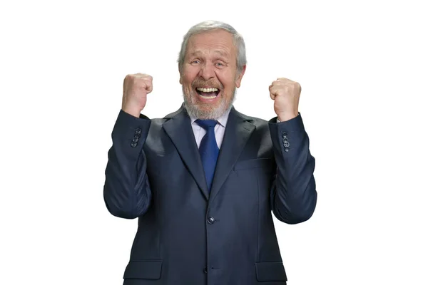Portrait of businessman rejoicing success. — Stock Photo, Image