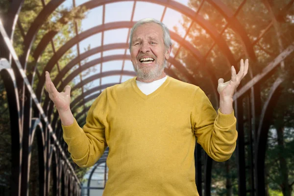 Happy old senior man with arms up in the park. — Stockfoto