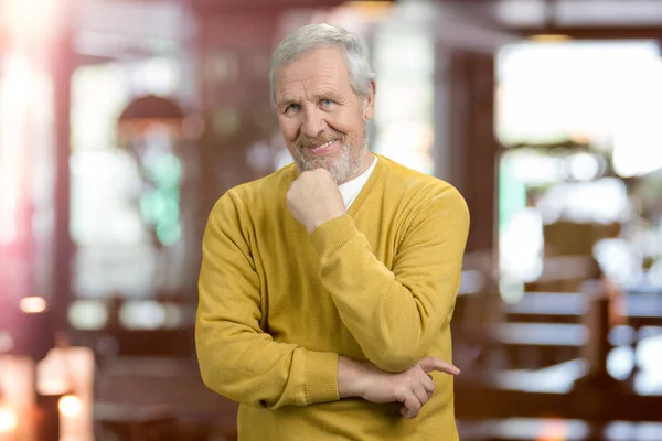 Portrait of a gray haired grandfather. — Stockfoto