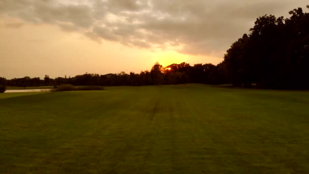 Прогулянка на доглянутому трав'яному полі в парку . — стокове відео