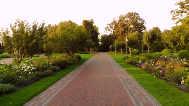 Caminho de paralelepípedos do parque botânico, vista da perspectiva . — Vídeo de Stock