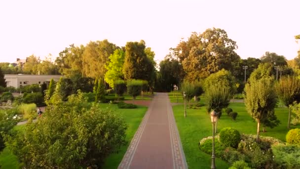 Blick von einer Drohne über den sommerlichen Stadtpark. — Stockvideo
