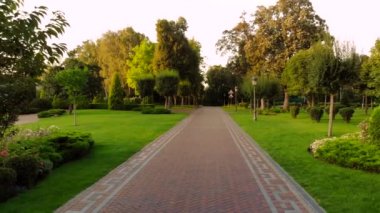 Park sokağında geriye doğru hareket ediyor..
