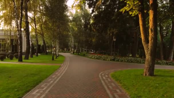 Promenade dans un parc sur un trottoir pavé . — Video