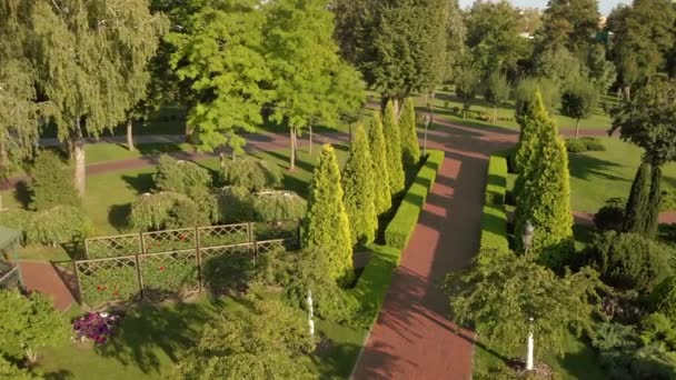 Volando sobre el jardín del parque . — Vídeo de stock