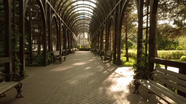 Tunnel archway in a park. — Stock Video