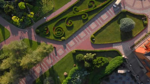 Top view decoratieve struiken in een tuin park. — Stockvideo